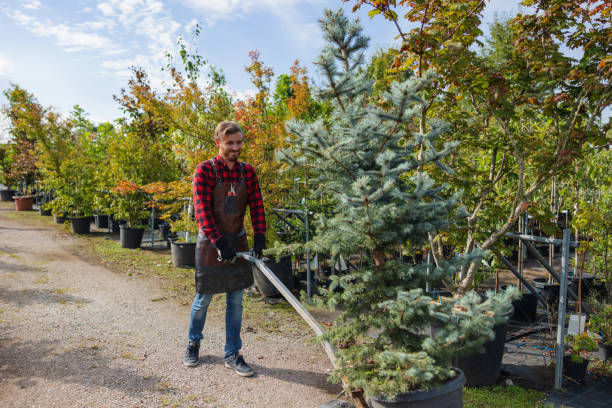 Best Tree Risk Assessment  in Mcadoo, PA